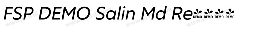 FSP DEMO Salin Md Re字体转换